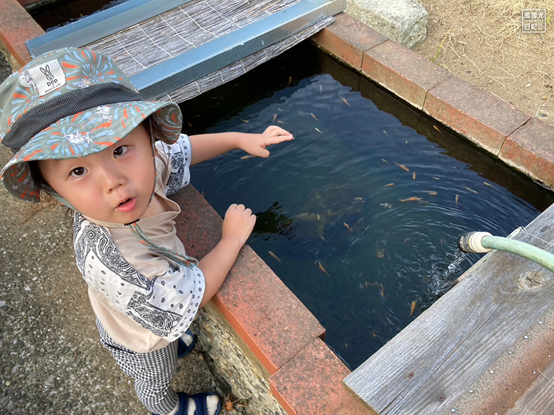 小倅