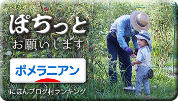 にほんブログ村