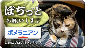 にほんブログ村