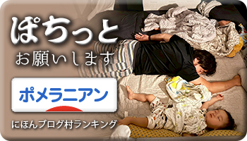 にほんブログ村