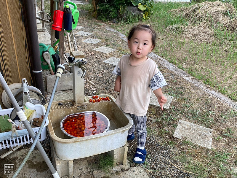 小倅