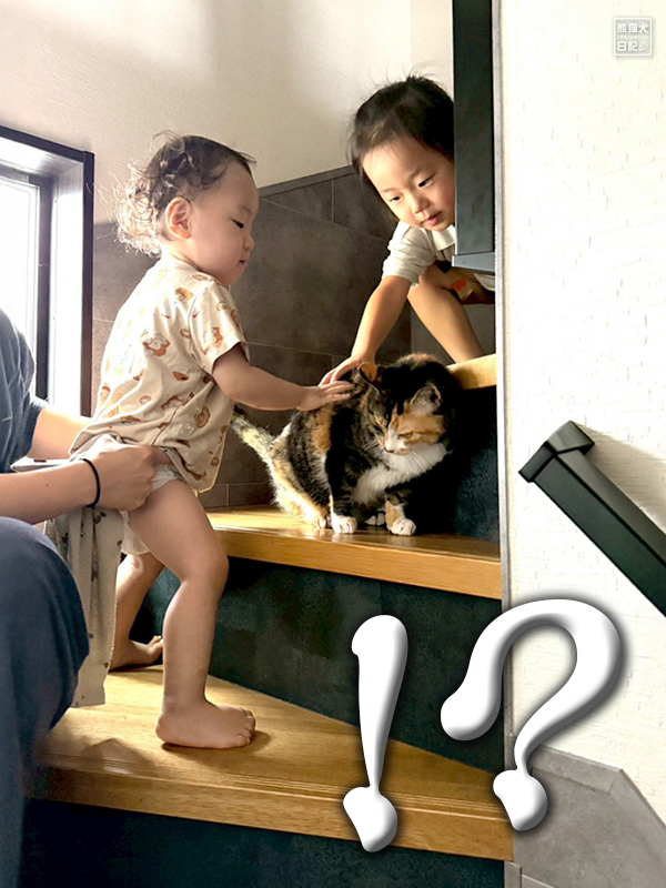 小童とツンデレ三毛猫の稚葉と小倅