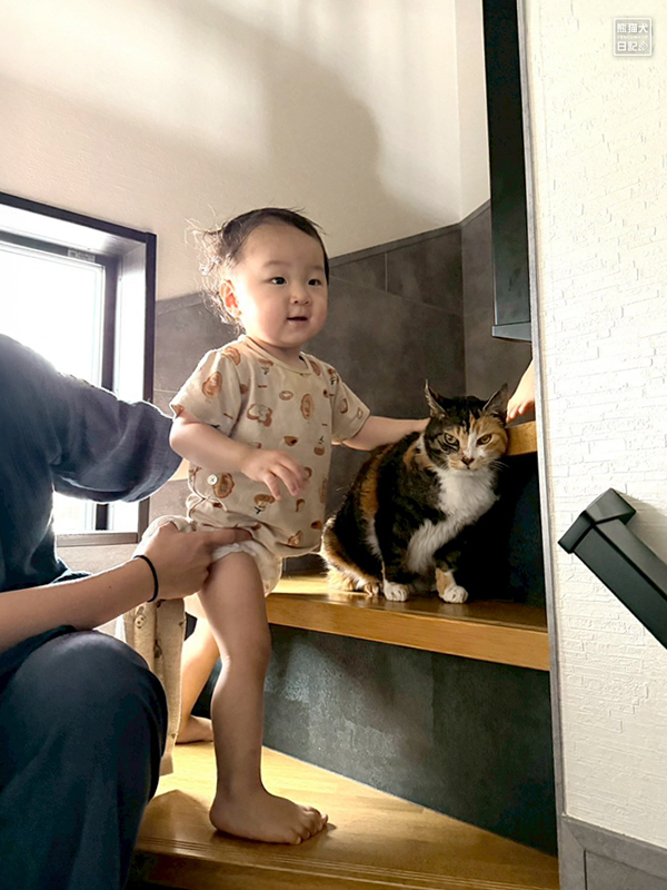 小童とツンデレ三毛猫の稚葉