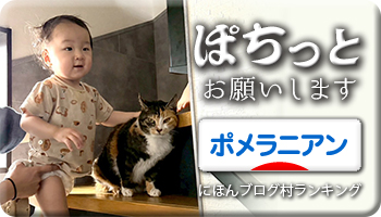 にほんブログ村