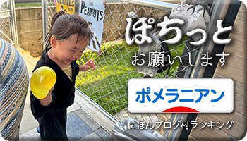 にほんブログ村