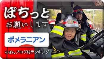 にほんブログ村
