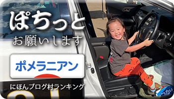 にほんブログ村
