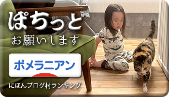 にほんブログ村