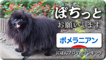 にほんブログ村