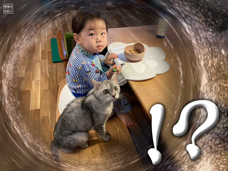天然猫の寿喜