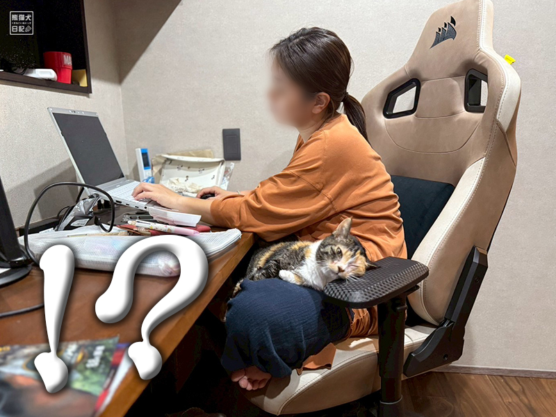ツンデレ三毛猫の稚葉