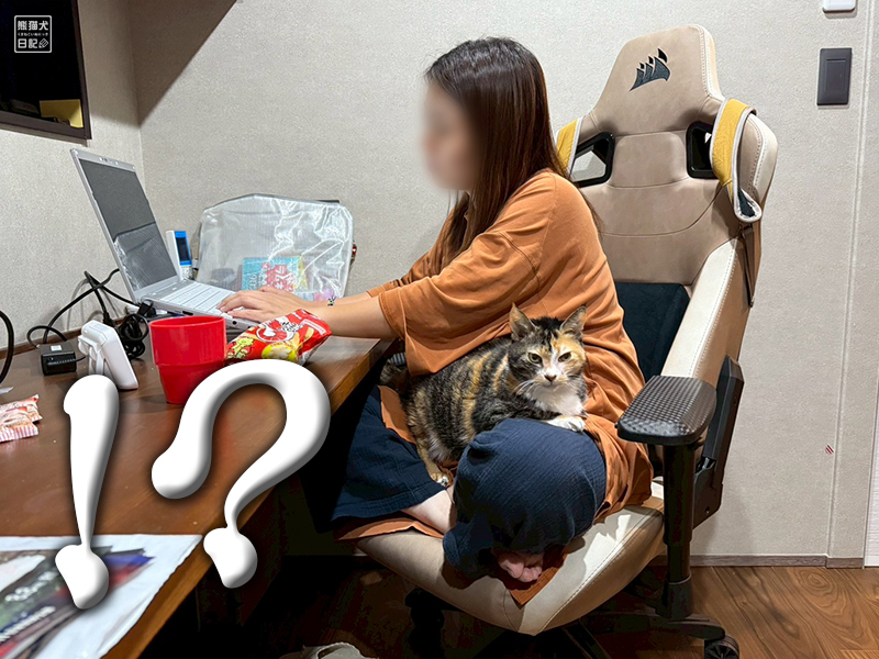 ツンデレ三毛猫の稚葉