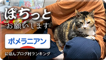 にほんブログ村