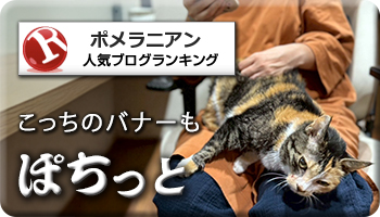 人気ブログランキング