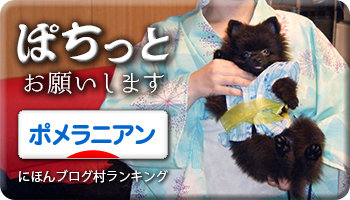 にほんブログ村