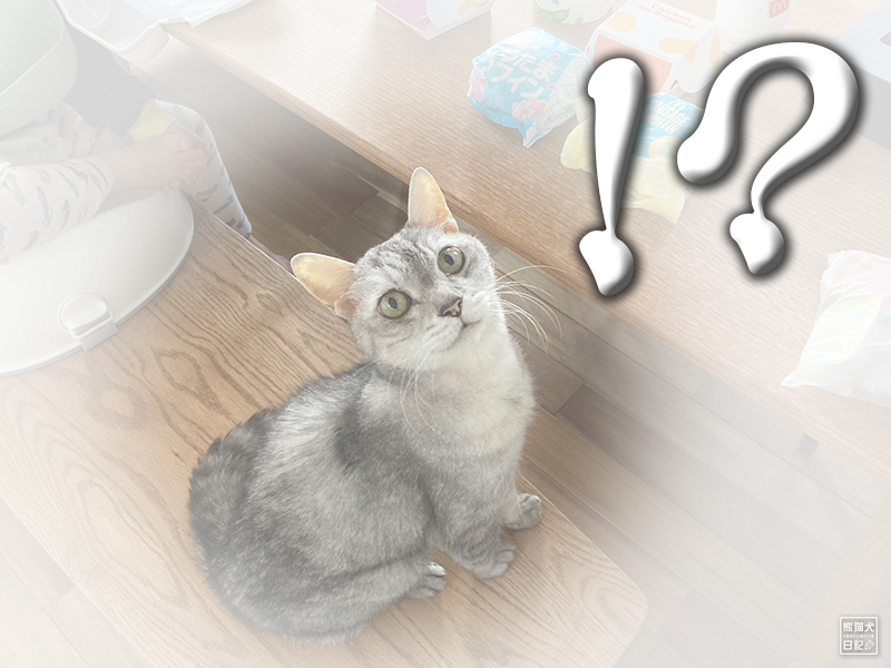 天然猫の寿喜