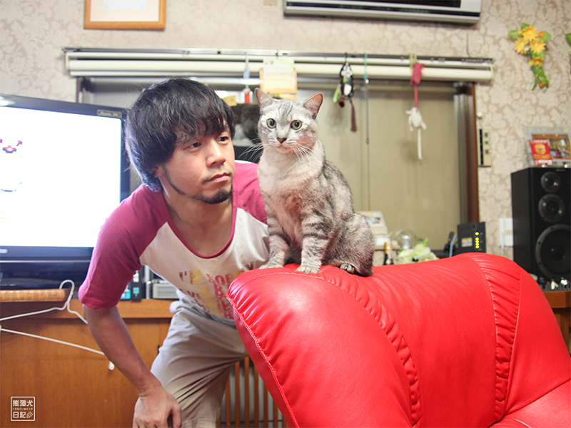 天然猫の寿喜