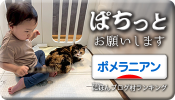にほんブログ村