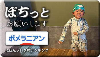 にほんブログ村