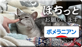 にほんブログ村