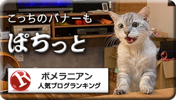 人気ブログランキング
