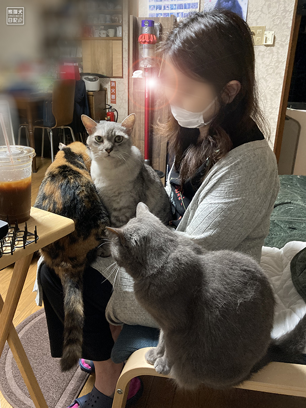 嫁女房と猫たち