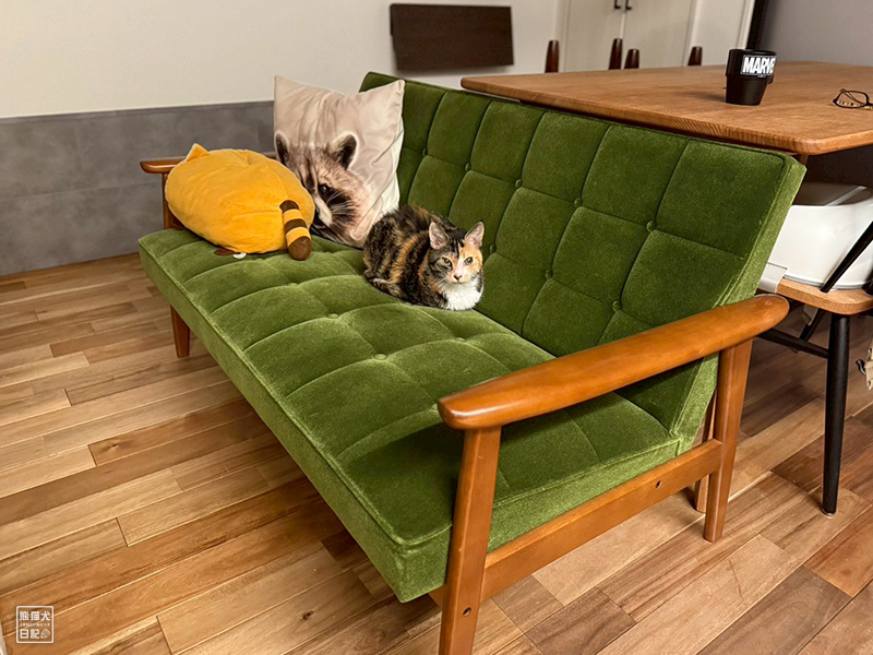 ツンデレ三毛猫の稚葉