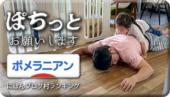 にほんブログ村