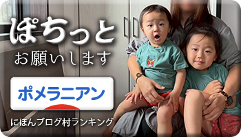 にほんブログ村