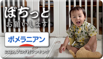 にほんブログ村