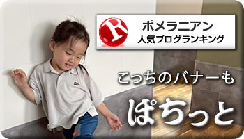 人気ブログランキング