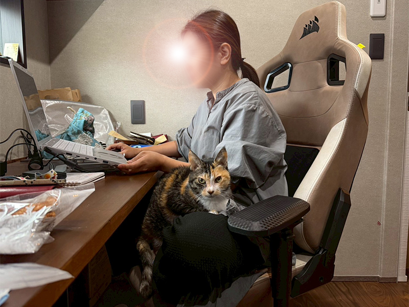ツンデレ三毛猫の稚葉