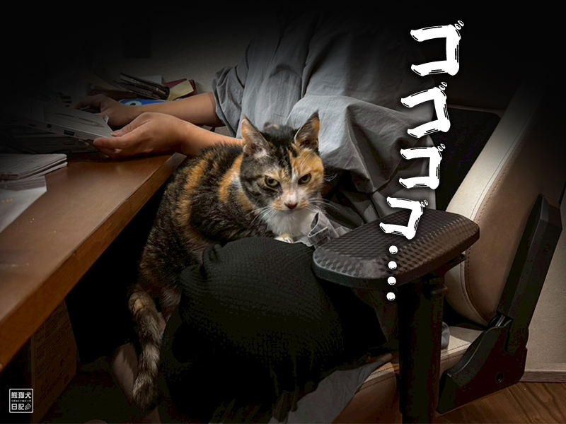 ツンデレ三毛猫の稚葉