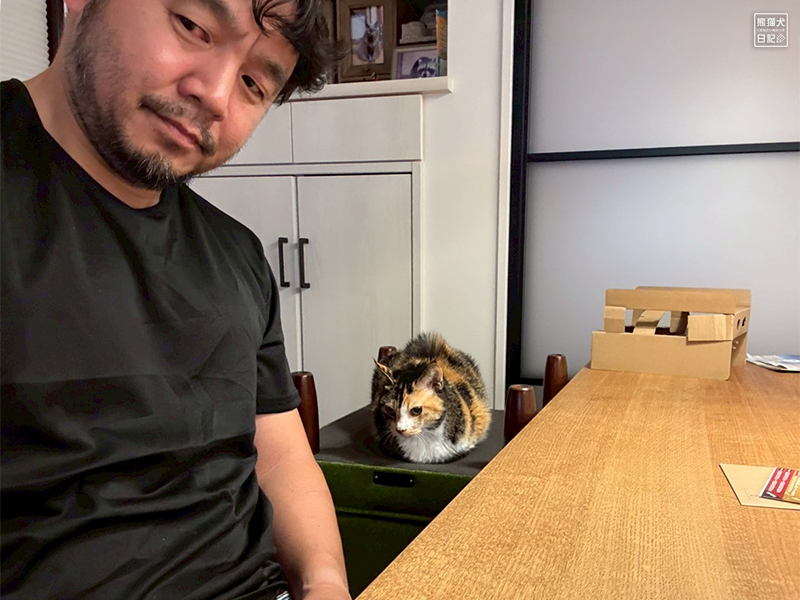 ツンデレ三毛猫の稚葉