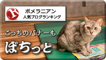 人気ブログランキング