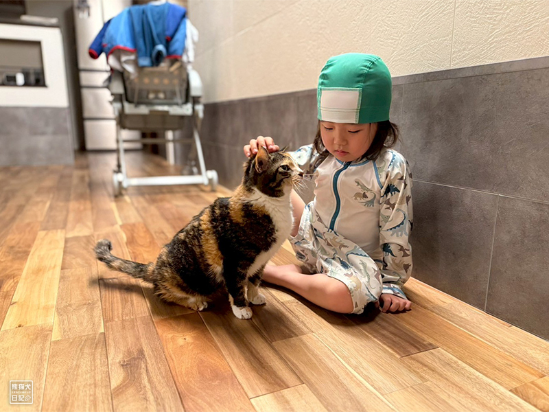 ツンデレ三毛猫の稚葉と小倅