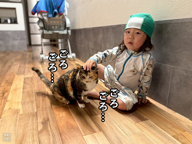 ツンデレ三毛猫の稚葉と小倅