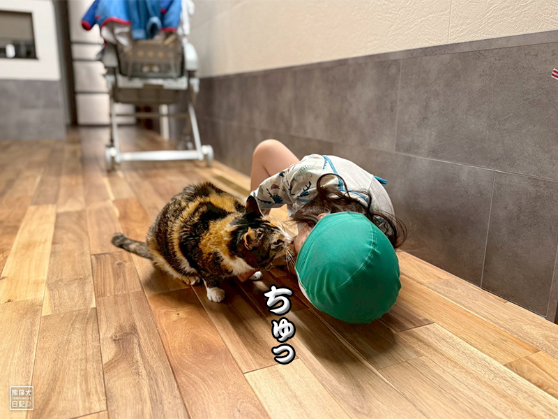 ツンデレ三毛猫の稚葉と小倅