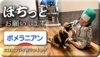 にほんブログ村