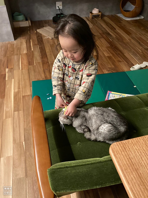 小倅と天然猫の寿喜