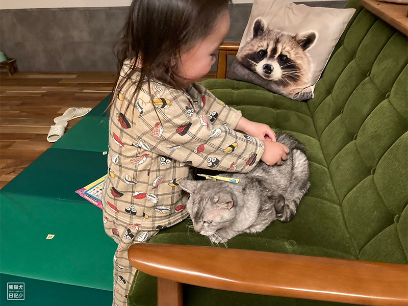 小倅と天然猫の寿喜