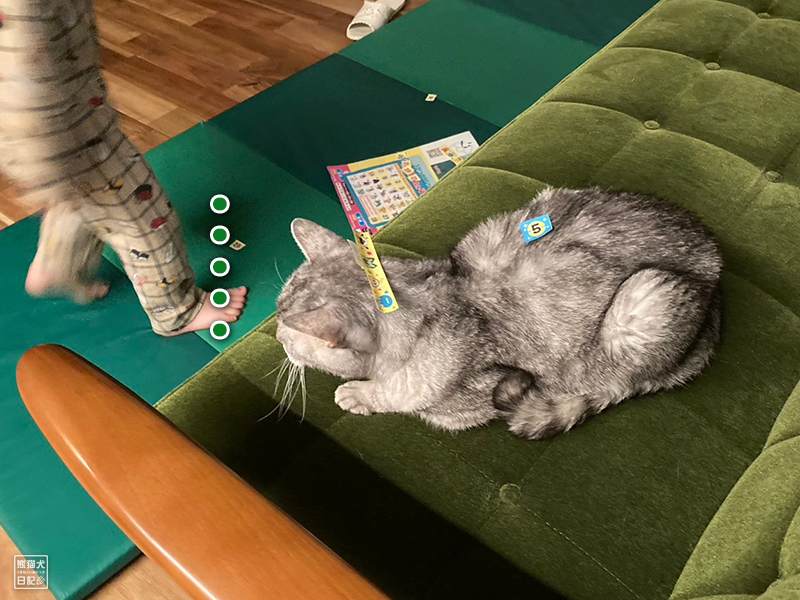 小倅と天然猫の寿喜