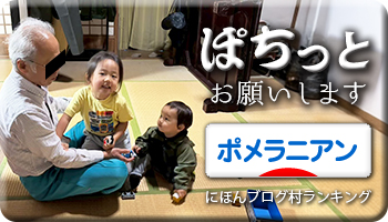にほんブログ村