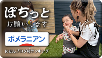 にほんブログ村