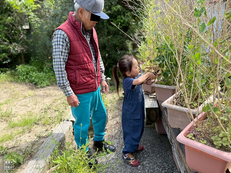 祖父と孫の畑仕事