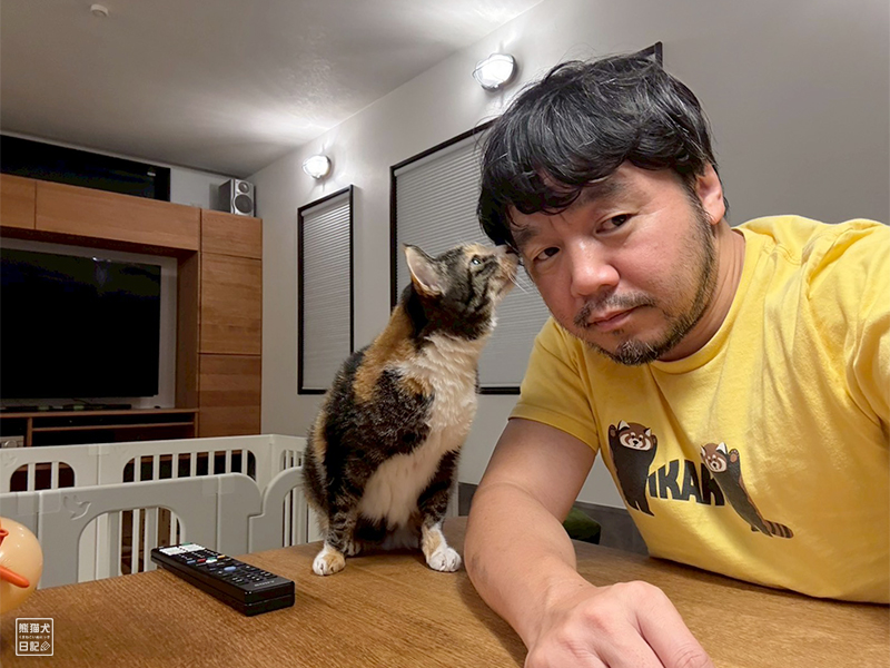 ツンデレ三毛猫の稚葉