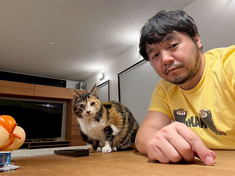 ツンデレ三毛猫の稚葉