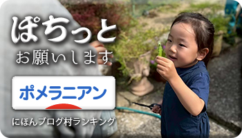 にほんブログ村