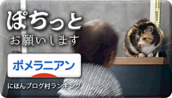 にほんブログ村
