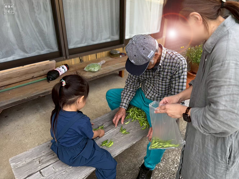 小倅の野菜収穫